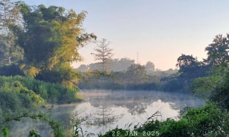 ขายที่ดิน - ติดแม่น้ำลี้ เจ้าของขายเองสวนลำไยและมะม่วง ใกล้สามแยกดอยอินทนนท์