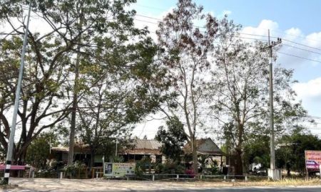 ขายบ้าน - ขายบ้านพร้อมที่ดิน แถมร้านคาราโอเกะ ใกล้ตลาดหนองปลาหมอ เนื้อที่ดิน 1 ไร่ ปรับราคาเหลือ 1.5 ล้าน ม.8 ต.หนองปลาหมอ อ.บ้านโป่ง จ.ราชบุรี