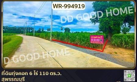ขายที่ดิน - ที่ดินทุ่งคอก 6 ไร่ 110 ตร.ว. สุพรรณบุรี ใกล้สำนักงานขนส่ง สาขาอำเภอสองพี่น้อง