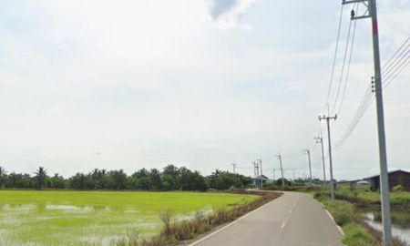 ขายที่ดิน - ขายที่ดินบางแก้วซอย3 เนื้อที่ 8 ไร่ ติดถนนลาดยาง ใกล้สวนปาล์มฟาร์มนกและถนน3200-5กม. เมืองฉะเชิงเทรา