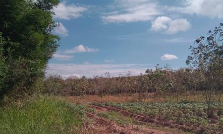 ขายที่ดิน - ขายที่ดินแปลงสวย เขตหนองเสือช้าง หนองใหญ่ ชลบุรี