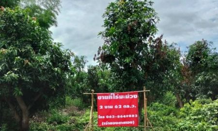 ขายที่ดิน - ประกาศขายที่ดิน ราชบุรี อำเภอปากท่อ ตำบล ทุ่งหลวง