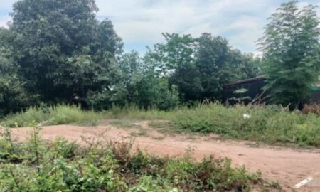 ขายที่ดิน - ขายที่ดินพัทยา หนองปรือ 115 ตรว. ซอยหนองไม้แก่น15 ใกล้อ่างเก็บน้ำมาบประชัน-2กม.อ.บางละมุง ชลบุรี