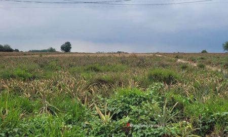 ขายที่ดิน - ขายที่ดินแปลงสวย ทำเลดี เขตนิคมพัฒนา ระยอง