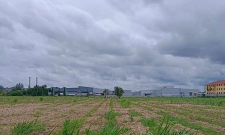 ขายที่ดิน - ขายที่ดินมาบยางพระ ปลวกแดง ระยอง ติดนิคมอีสเทิร์นซีบอร์ด