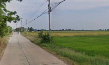 ขายที่ดิน - ขายที่นา 100 ไร่ ตำบลหมอนทอง อำเภอบางน้ำเปรี้ยว จังหวัดฉะเชิงเทรา