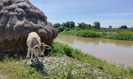 ขายที่ดิน - เจ้าของขายเอง สวนผสมวิวดอยอินทนนท์ล้อมรอบ ติดแม่น้ำลี้ ไม่เคยมีประวัติน้ำท่วม