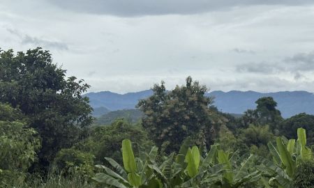ขายที่ดิน - ที่ดินภูเขาสลับซับซ้อน ติดถนนลาดยาง หนองหญ้าปล้อง