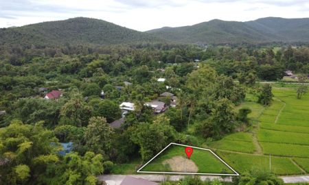 ขายที่ดิน - ที่ดิน 160 วา ถนนคอนกรีต ถมแล้ว วิวทุ่งนาสวยๆ