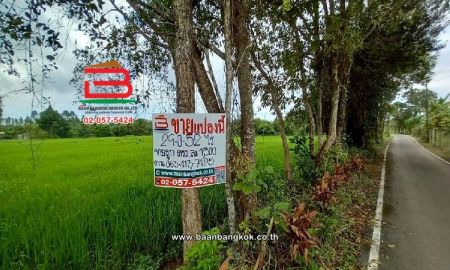 ขายที่ดิน - ที่ดินเปล่า บ้านเนินหอม(ม.4) เนื้อที่ 29-0-52 ไร่ ( เทศบาลซอย 12) ตำบลเนินหอม อำเภอเมืองปราจีนบุรี ปราจีนบุรี