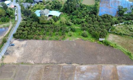 ขายที่ดิน - ขายที่ดินตำบลหารแก้วหางดงห่างโรงเรียนนานาชาติเพียง 850เมตร