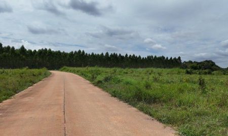 ขายที่ดิน - ที่ดิน แบ่งขาย ติดโรงงาน พนัสนิคม นาวังหิน ใกล้ถนน 331 เพียง 1.3 กม.