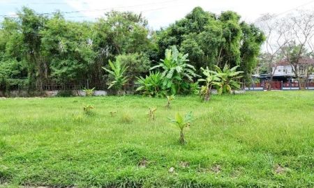 ขายที่ดิน - ขายที่ดินในโครงการฟอลล่าวิลล์ทำเลดีเหมาะกับปลูกบ้านพร้อมโอน