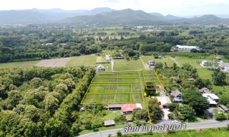 ขายที่ดิน - ที่นาแบ่งขาย 11 แปลง ติดถนนสันกำแพงสายเก่า วิวดอย ราคาถูก