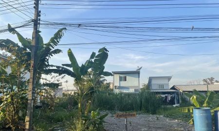 ขายที่ดิน - ขายที่ดิน 120 ตารางวา ซอยบุญคุ้ม3 คลอง1 ลำลูกกา ปทุมธานี