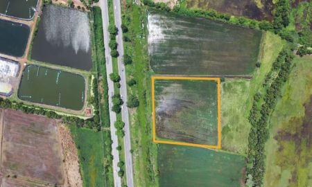 ขายที่ดิน - ขาย ที่ดินถนนฉะเชิงเทรา-กบินทร์บุรี ติดถนนทางหลวงแผ่นดินหมายเลข 304 ใกล้สี่แยกบางกล้า ใกล้สี่แยกพนมสารคาม