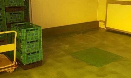 ให้เช่าโรงงาน / โกดัง - ให้เช่าโกดังห้องเย็นสาย5 ไร่ขิง สามพราน มีพื้นที่รวม 400 ตารางเมตร ห้องเย็นอย่างเดียว 100 ตารางเมตร