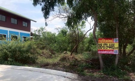 ขายที่ดิน - ขายที่ดินใกล้ อบต.วังน้อย 81 ตารางวา ติดถนนคอนกรีตสาธารณะ ถมแล้ว อ.วังน้อย จ.พระนครศรีอยุธยา