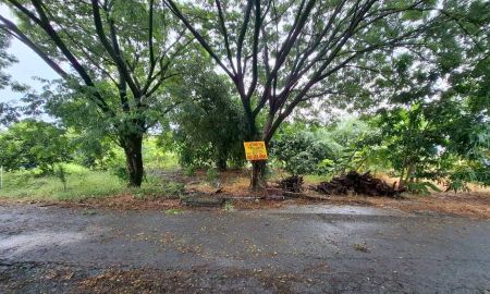 ขายที่ดิน - ขายที่ดินเปล่าถมแล้ว ใกล้อบต ลำโพ นนทบุรี ซอยตรงข้ามที่ทำการผู้ใหญ่บ้าน