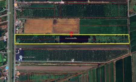 ขายที่ดิน - ขายที่ดิน หนองเสือคลอง 13 ถนนรังสิต-นครนายก อำเภอหนองเสือ ปทุมธานี