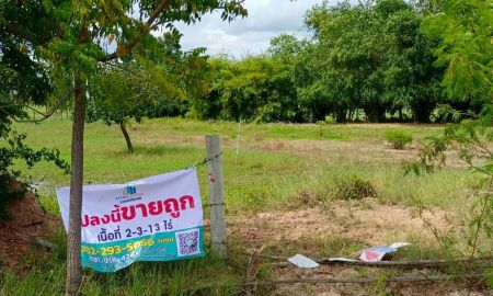 ขายที่ดิน - ขายด่วน ที่ดินเปล่า ติดถนนเส้นหลัก 3442 ห้วยกระเจา เนื้อที่ 2 ไร่ 313 ตร.ว.