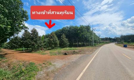 ขายที่ดิน - ขายสวนทุเรียนหมอนทอง จ.ระยอง ต้นสวยสมบูรณ์