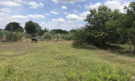 ขายที่ดิน - ขายที่ดินเปล่า ด่วนสนใจติดต่อได้เลย เจ้าของขายเอง