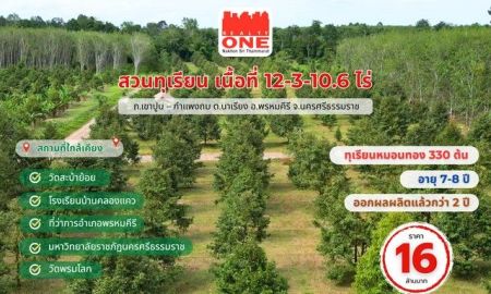 ขายที่ดิน - สวนทุเรียนหมอนทอง จำนวน 330 ต้น อายุ 7 8 ปี เริ่มให้ผลผลิตแล้ว 2 ปี เนื้อที่ 12-3-10.6 ไร่