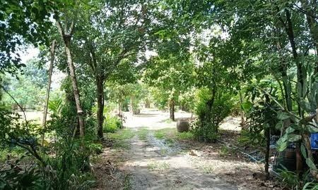 ขายที่ดิน - ที่ดินบรรยากาศดี ทำเลทอง วังปลา ต.แกลง อ.ระยอง