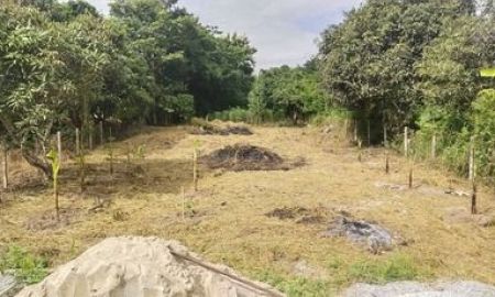 ขายที่ดิน - คว้าโอกาสสุดท้าย! ที่ดินแปลงสวยสุดคุ้ม 162.5 ตรว. หลังสำนักงานที่ดินศรีราชา (ซ.หมู่ 6 ต.สุรศักดิ์) - ทำเลทองหายาก เพียง 1.2 ล้านบาท