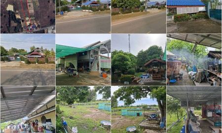ขายที่ดิน - ขายบ้านพร้อมที่ดิน 5 ไร่ (บ้านสวน และทุ่งนา)
