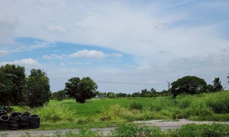 ขายที่ดิน - ขายด่วน ที่ดินเปล่า 8 ไร่ แปลงสวย ถมแล้วบางส่วน คลอง 8 หนองเสือ ปทุม