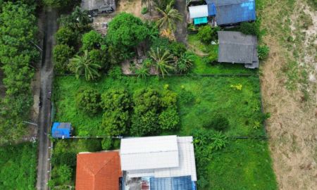 ขายที่ดิน - ที่ดินแปลงสวย แถมต้นทุเรียนให้ผลรับประทานได้ทุกปี