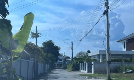 ขายที่ดิน - ขายที่ดินตำบลหนองหอยติดถนนคอนกรีตพร้อมโอน