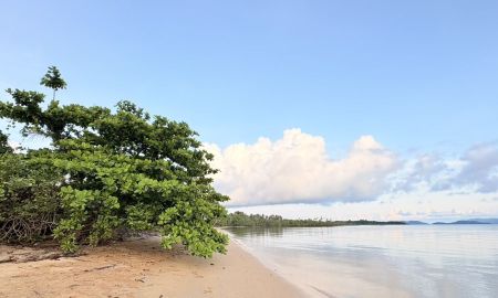 ขายที่ดิน - ขายที่ดินบนเกาะหมากริมทะเล จ.ตราด 18,000บาท ต่อตรว.ไร่ละ7.2 ล้านขาย ขนาด 16 ไร่ 2 งาน 7 ตารางวา ราคารวม 119,000,000 บาท