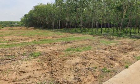 ขายที่ดิน - ที่ดิน 3 ไร่กว่า ติดถนนคอนกรีต ใกล้ตลาดคลองแงะ ใกล้ศรีตรังฯ ต.พังลา