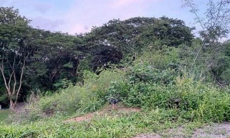 ขายที่ดิน - ที่ดินใกล้เขาใหญ่ ราคาไม่แรง อยู่ในโครงการชาญอิสระ เป็นเนินเขา มีโฉนด แหล่งโอโซนธรรมชาติ