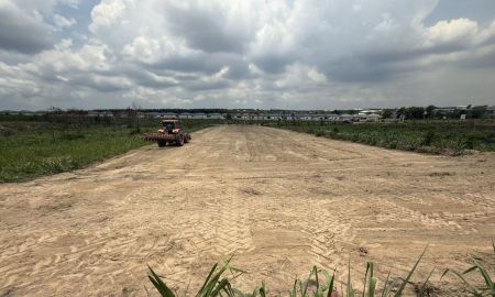 ขายที่ดิน - ขายที่ดินสีม่วงลาย 1 ไร่ นิคมพัฒนา ซอย 9 ต.มะขามคู่ อ.นิคมพัฒนา จ. ระยอง