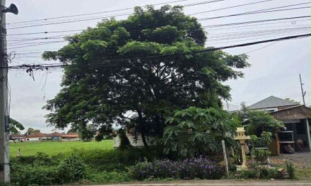 ขายที่ดิน - ขายที่ดินตำบลหนองจ๊อมสันทรายติดถนนหลักโฉนดพร้อมโอน