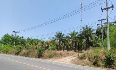 ขายที่ดิน - ขายที่ดินสวย 21ไร่ เอกสารสิทธิโฉนด เจ้าของขายเอง ชุมพร