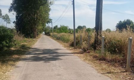 ขายที่ดิน - ขายที่ดินหนองยาว 2 ไร่ ติดถนนคอนกรีตซอยวัดต้นตาล ใกล้ถนนเส้น3076-850เมตร อ.พนมสารคาม ฉะเชิงเทรา