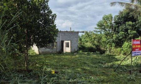 ขายที่ดิน - ขายที่ดินปลูกบ้านเอกสารโฉนดตำบลขนงพระ ใกล้วิวเขาใหญ่ ใกล้วัดเขาจันทร์หอม