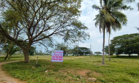 ขายที่ดิน - ขายที่ดินสวย ทำเลดี ติดคลองอ่างทอง ใกล้ชายทะเลทับสะแก ประจวบคีรีขันธ์