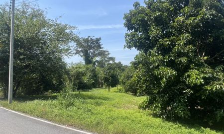 ขายที่ดิน - ขายที่ดิน 1 ไร่ 2 งาน ต.หินตั้ง อ.เมืองนครนายก ติดถนน วิวเขาชัด มีโฉนด