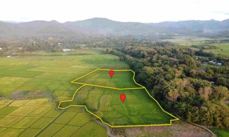 ขายที่ดิน - ที่นาพร้อมสระน้ำ 2-1-34 ไร่ วิวดอย ติดถนนสาธารณะ ขยายน้ำ-ไฟไม่ไกล