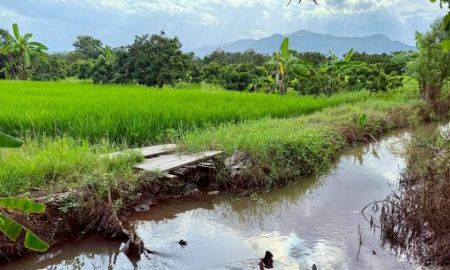 ขายที่ดิน - ขายที่นาติดลำเหมืองติดภูเขาวิวดอยโฉนดพร้อมโอน
