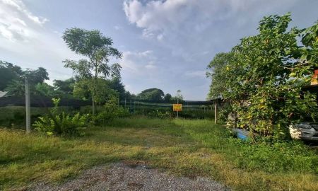 ขายที่ดิน - ขายที่ดินเปล่า ถนนบางม่วง-บางคูลัด บางใหญ่ นนทบุรี