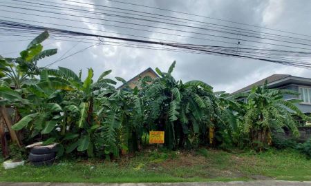 ขายที่ดิน - ขายที่ดินเปล่า ซอยลำลูกกา 35 ใกล้รถไฟฟ้าสถานีคูคต