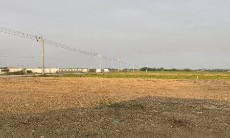 ขายที่ดิน - ขายที่ดิน 2 แปลง 100 ตารางวา และ 168 ตารางวา ถมแล้ว หนองจอก กรุงเทพ