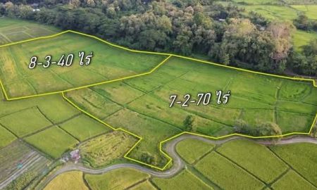 ขายที่ดิน - ขายที่นาตำบลแม่โปงดอยสะเก็ตโฉนดพร้อมโอนราคาถูก